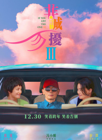 伊人久久亚洲综合